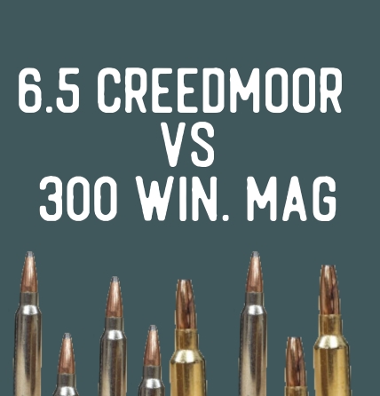 6.5 Creedmoor vs 308 Winchester